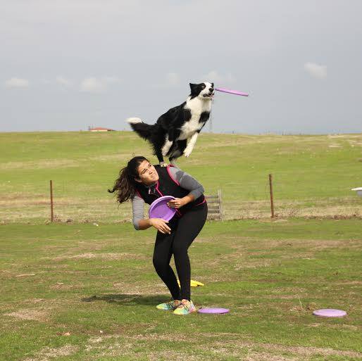 La VII Multiactividad de Cooprado organiza la exhibición de 'Disc dog'