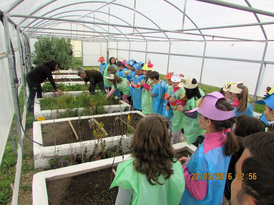 Los alumnos de 5º y 6º de primaria participan en la creación de un huerto escolar