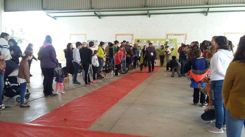 El primer concurso canino celebrado ‘Con y sin raza’ supera sus expectativas