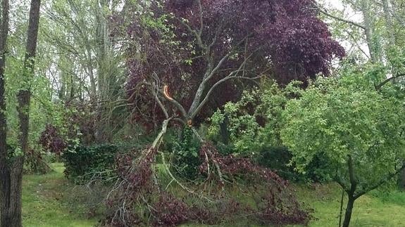 El temporal de lluvia y viento se hace notar en Monesterio