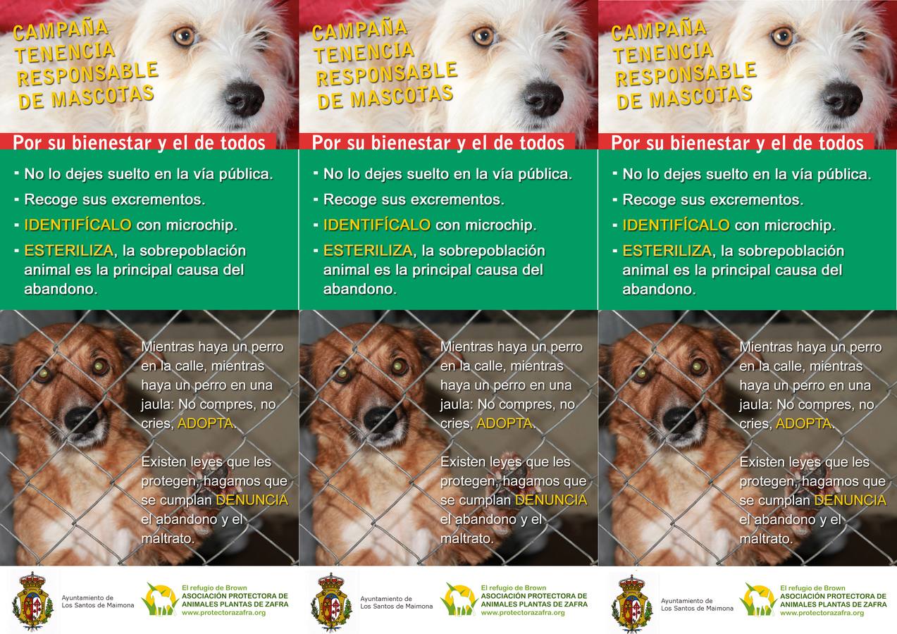 El Ayuntamiento colabora con el Refugio Brown en la tenencia responsable de animales
