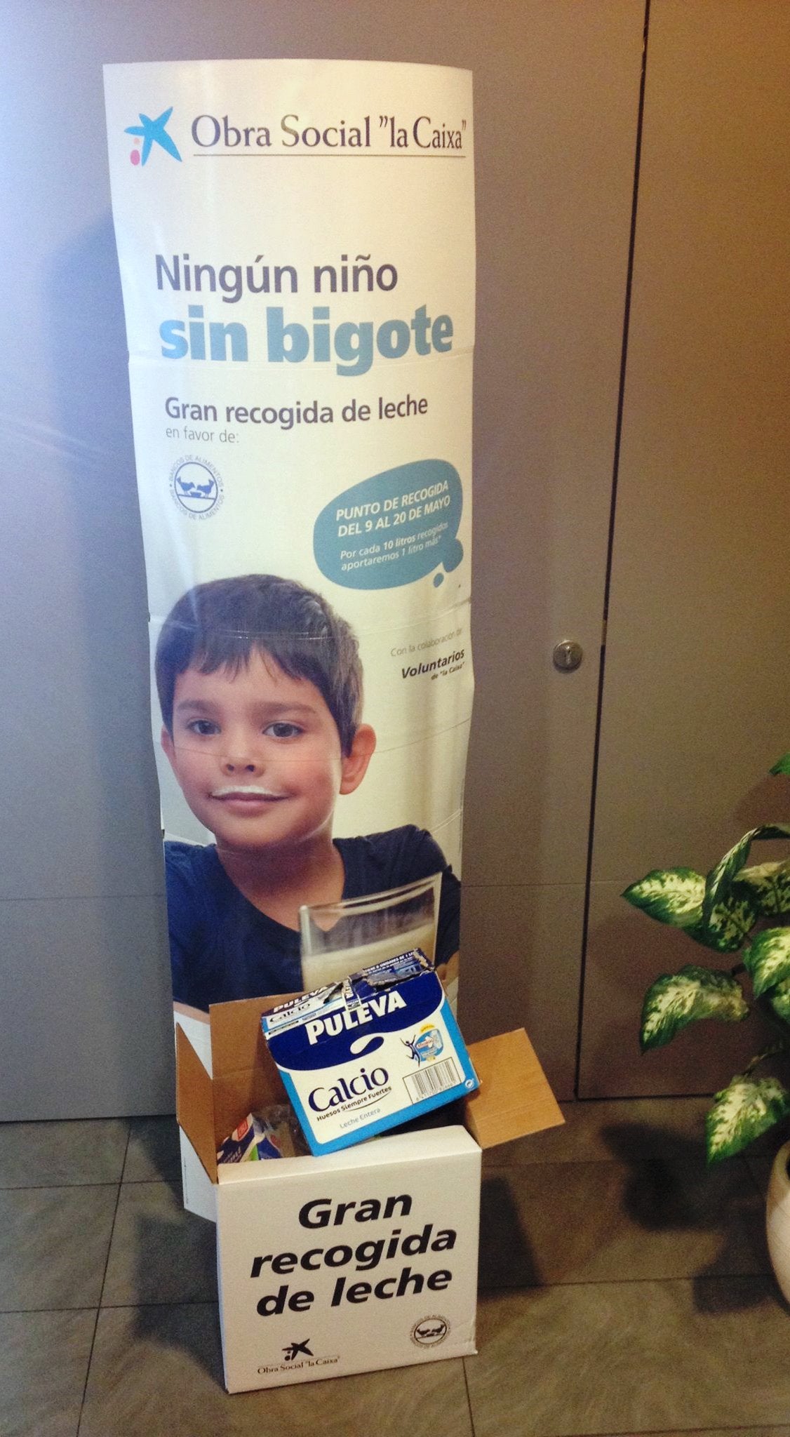 Monesterio se suma a la Gran Recogida de Leche de Caixabank para que ningún niño se quede >