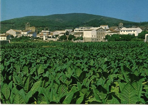 España no llegará a tiempo para adoptar la directiva europea del tabaco
