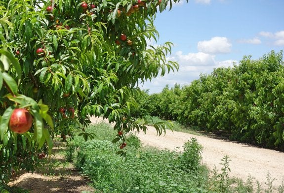 La Ruta del Regadío