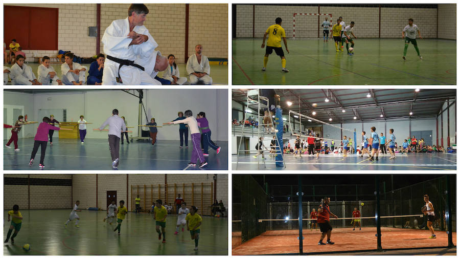 Las escuelas deportivas municipales celebrarán su clausura en el pabellón