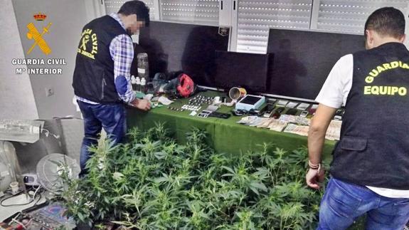 19 detenidos por tráfico de drogas en las Vegas Altas del Guadiana