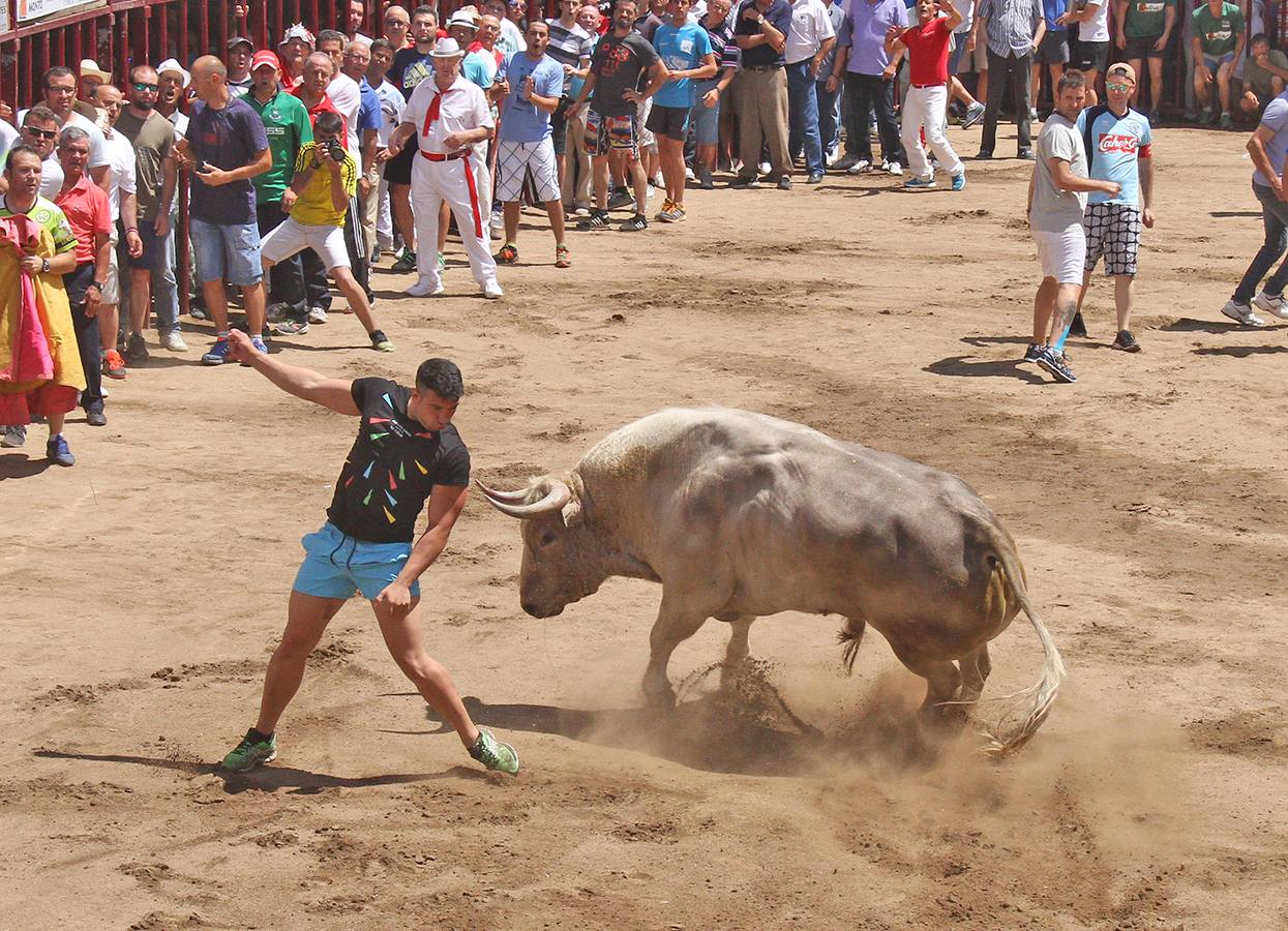 A pesar del intenso calor, Vivaracho tuvo un buen comportamiento en la plaza