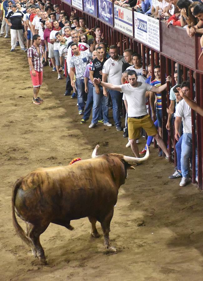 Un buen toro de la ganadería portuguesa Pinto Barreiros