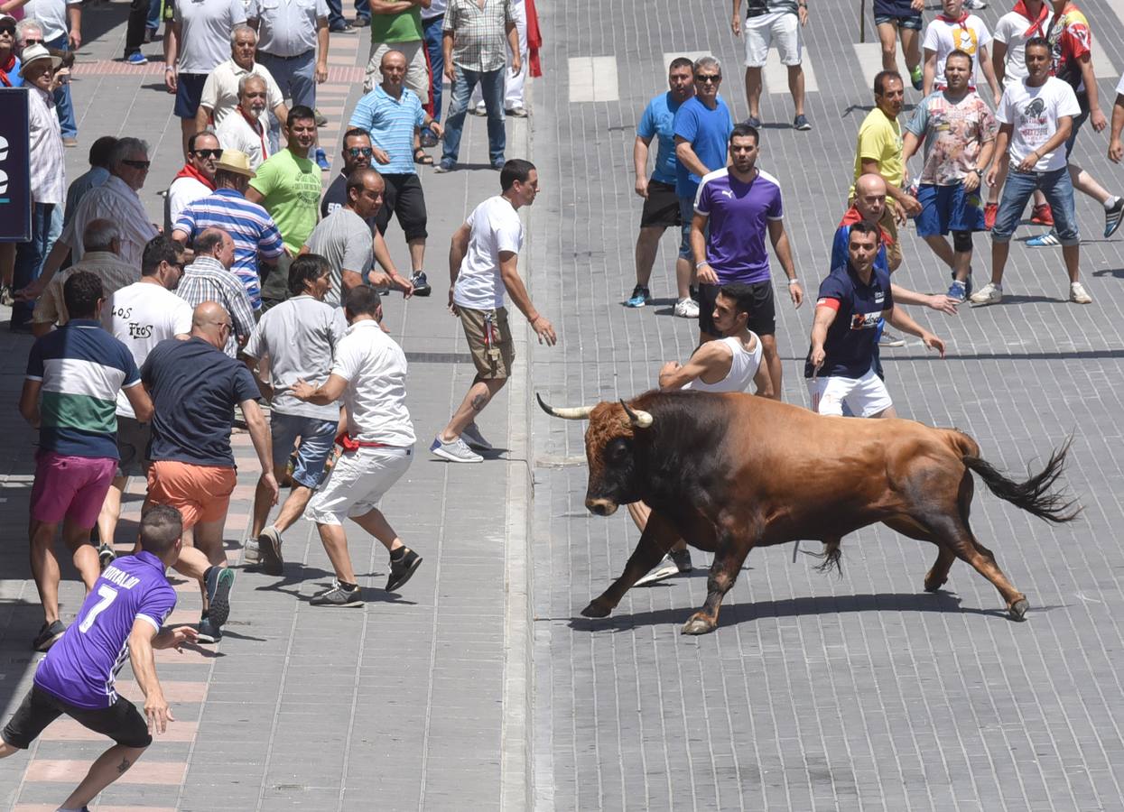 Malasangre protagoniza el último encierro de los Sanjuanes