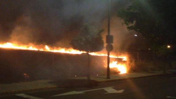 Arde una hectárea de pastos en la zona del Jardín de Mérida