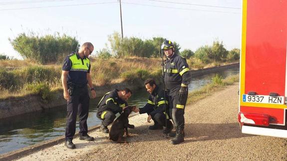 La Policía Local y los bomberos rescatan a un perro de morir ahogado en el canal