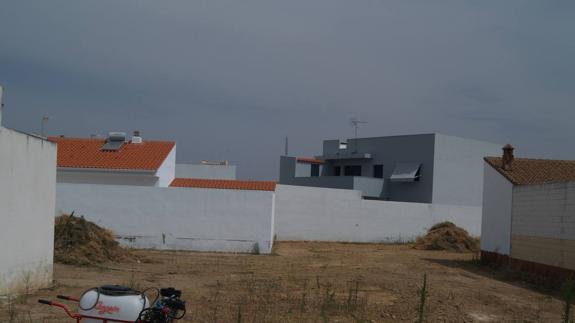 El Ayuntamiento realiza un plan de choque contra la plaga de chinche rojo aparecida en Santo Toribio