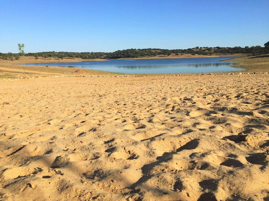 La localidad ya cuenta con una zona de playa en la orilla del lago Alqueva
