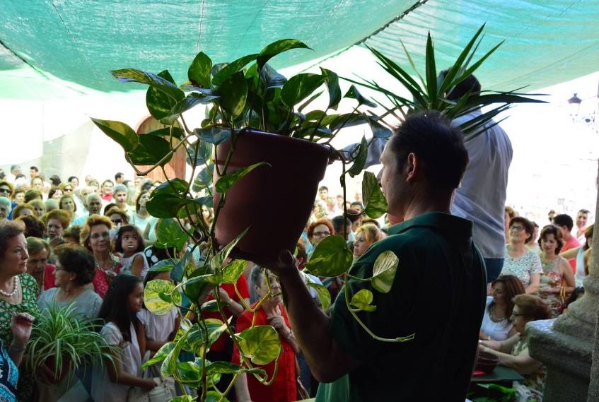 Este domingo 17 se celebra la tradicional 'rifa de los tiestos'