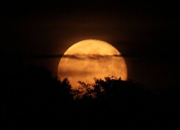 Tour lunar para disfrutar de la luna llena en las inmediaciones del Castillo de Herrera del Duque