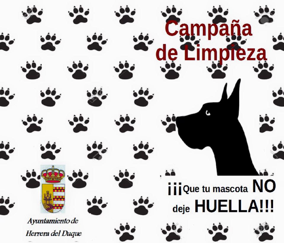 Se multará con 300 euros a quienes no recojan los excrementos de su mascota