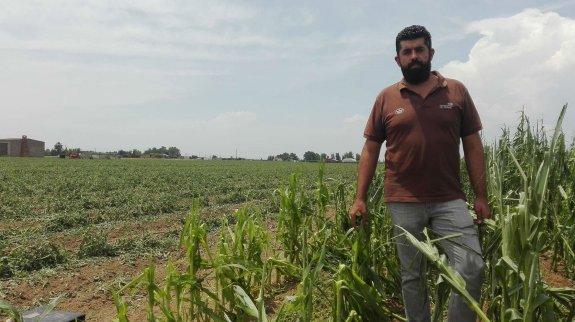 Los agricultores perjudicados por las tormentas recibirán 11 millones