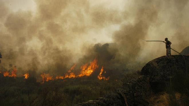 El mes de agosto llega con riesgo muy alto de incendios forestales
