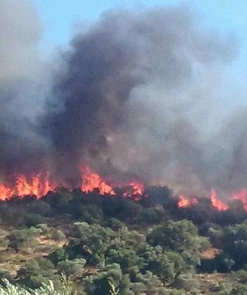 Estabilizado el incendio de Guijo de Galisteo