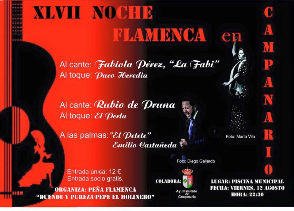 Cartel muy atractivo para la XLVII Noche Flamenca