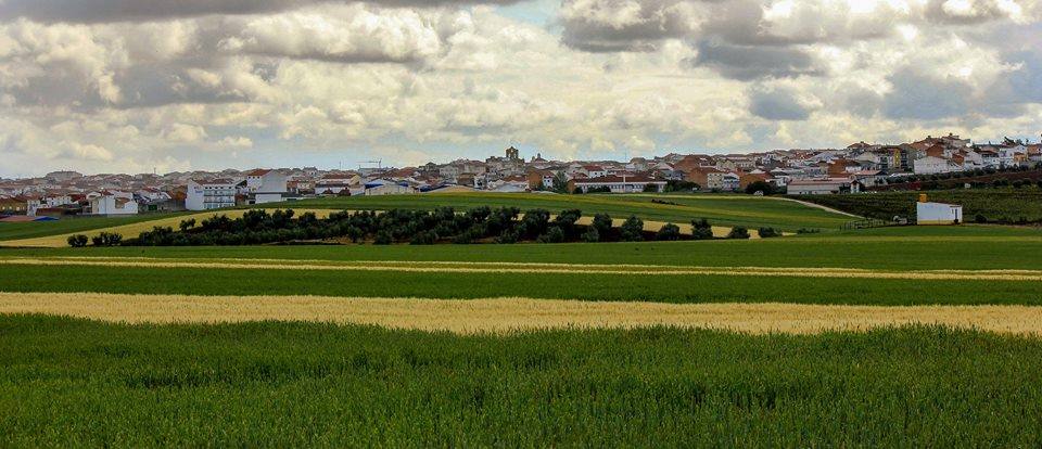 El concurso de 'Los Cigüeños' recibe más de 100 fotos y ya tiene ganadores