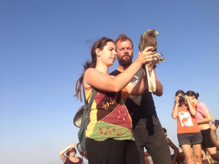 Amus libera aves migratorias recuperadas en el centro de Villafranca