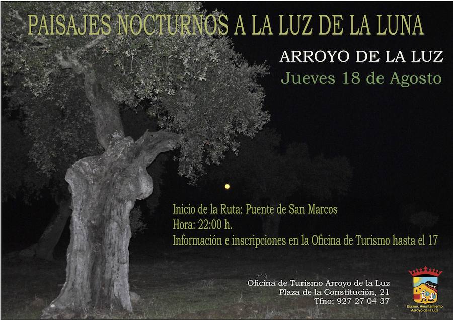 Un recorrido por los paisajes nocturnos de Arroyo a la luz de la luna