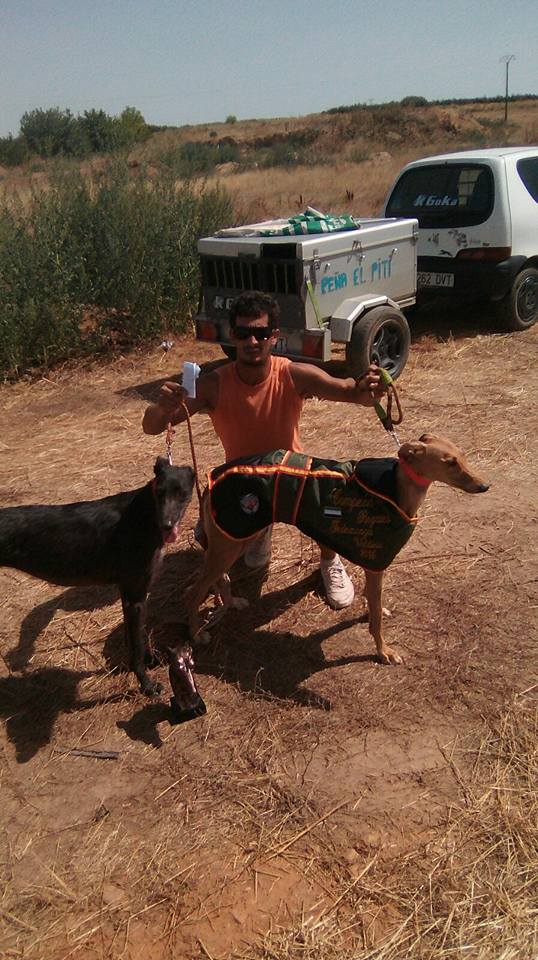 La galga ‘Rubia’ del quintanense Agustín Tena campeona de Extremadura de regate