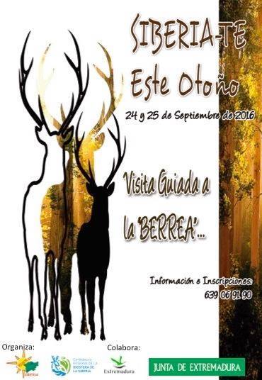 Podrás disfrutar de la berrea del Ciervo este fin de semana en la Reserva Regional del Cíjara