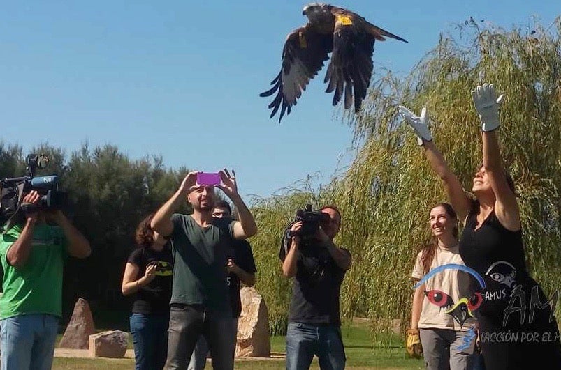 AMUS y el Gobierno de Aragón fortalecen sus relaciones para conservar y recuperar especies amenazadas