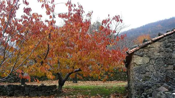 Cinco escapadas de otoño en los mejores entornos rurales