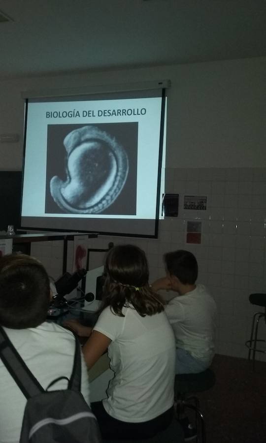 35 estudiantes disfrutaron de la Noche europea de los investigadores