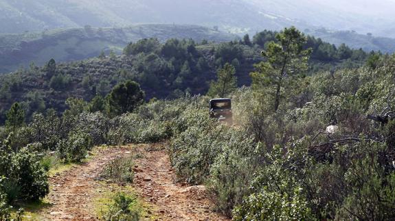 Un millar de ciclistas participarán en la IV Marcha BTT de Monfragüe