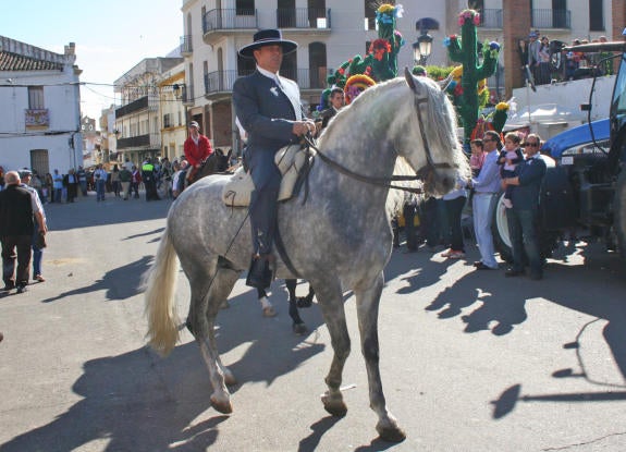 El Ayuntamiento saca a licitación el arrendamiento de la finca del 'Ejido ansarero' para actividades ecuestres