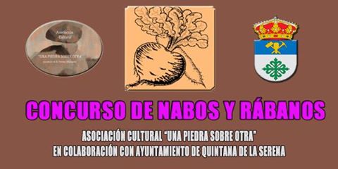 La Asociación cultural 'Una piedra sobre otra' convocará a finales de año un concurso de nabos y rábanos