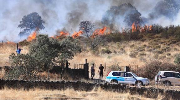 Dos detenidos por provocar dos incendios en Monfragüe y Almoharín