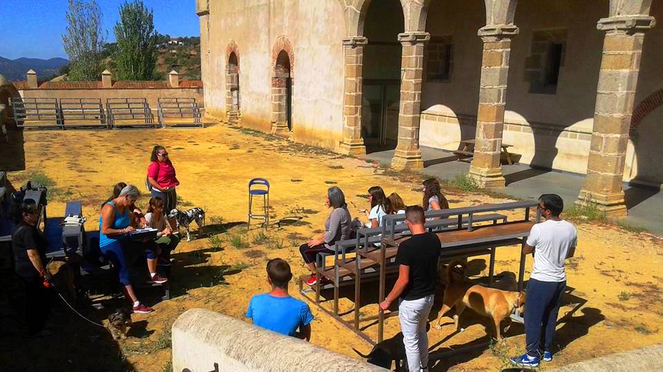 Domingo de convivencia con mascotas en el Embalse de Tentudía