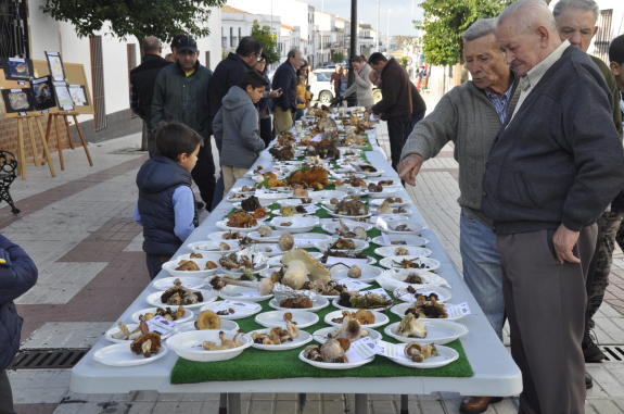 La Universidad Popular pone en marcha un ‘Otoño cultural y turístico’