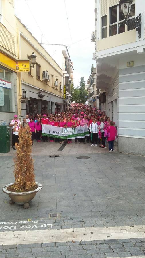 1.700 personas caminaron el pasado domingo contra el cáncer