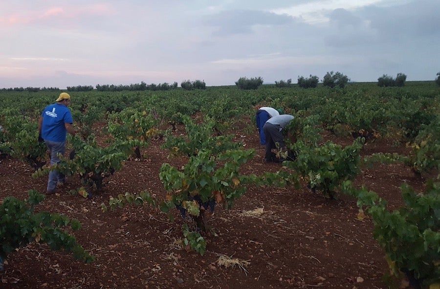 Villafranca será uno de los escenarios de las rutas en el Día del Enoturismo