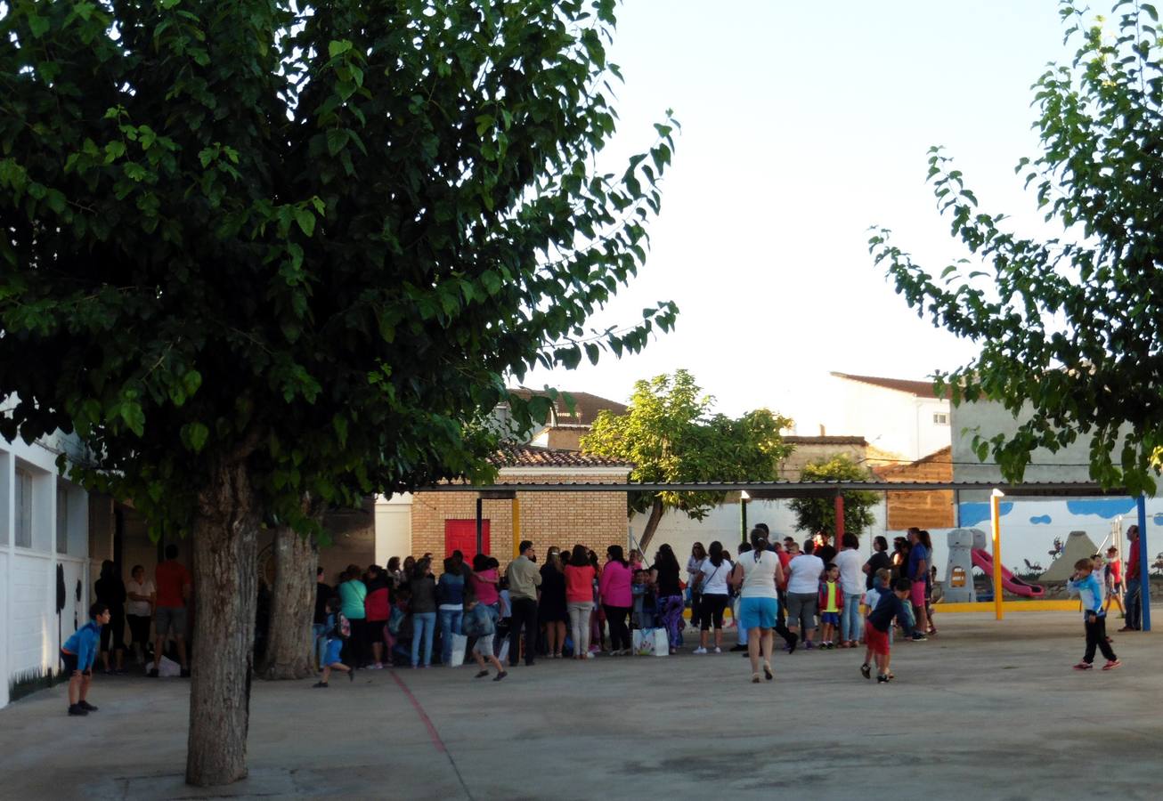 El Colegio y el Instituto renuevan sus consejos escolares