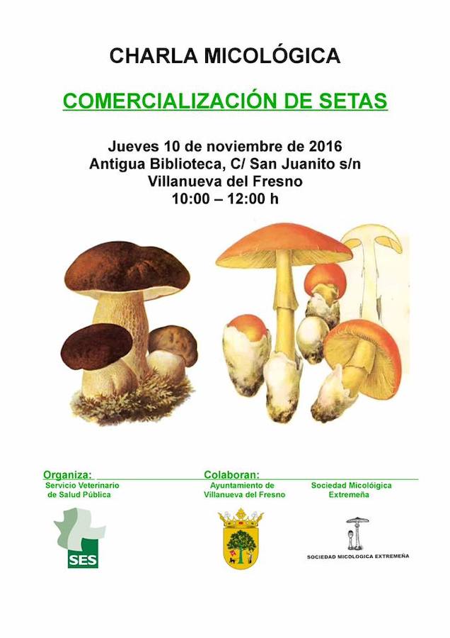 El Servicio Veterinario de Salud Pública organiza una charla micológica