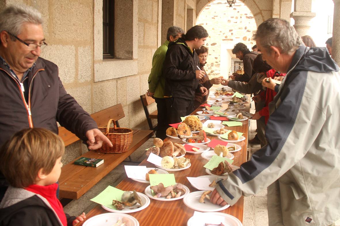 Fin de semana de recogida de setas y degustación, en 'Coria, sabor micológico'