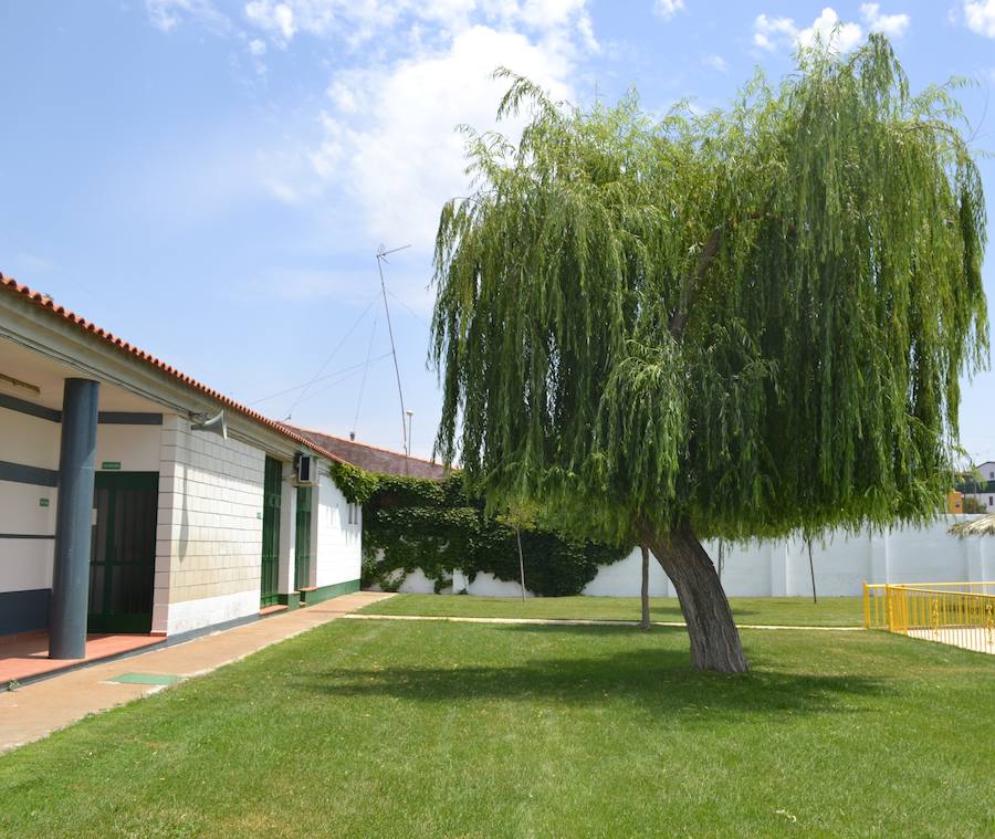 Publicadas las bases para la adjudicación de la vivienda de la piscina municipal