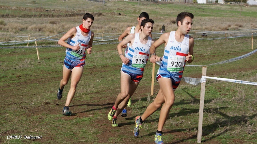 11 triunfos del CAPEX en el Cross de Berlanga