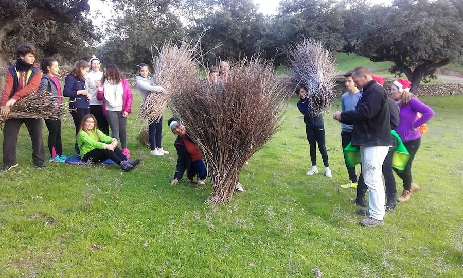 El AMPA Nuevo Futuro enseña a sus socios a recoger gamonas