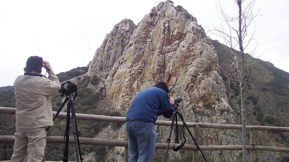 Monfragüe volverá a ser el foco de atención del turismo ornitológico mundial