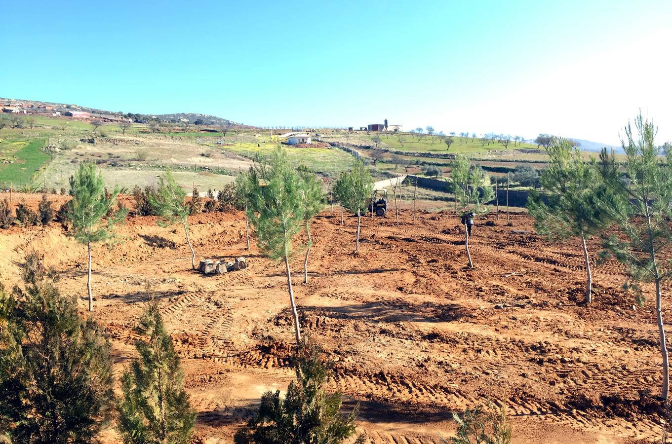 El Ayuntamiento construye un parque periurbano en el antiguo basurero