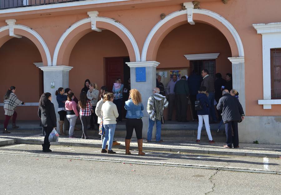 El Ayuntamiento repartirá las acciones de los frutales y de las placas solares
