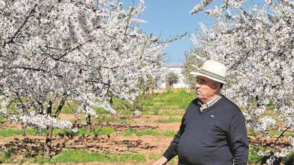 Francisco Morales, tradición en el boom de la almendra